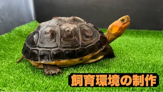 チュウゴクセマルハコガメの飼育環境の制作#1