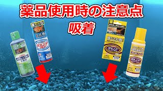 【大磯砂編】観賞魚用医薬品使用時の注意点