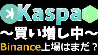 Kaspa(カスパ)買い増し継続中！【暗号資産保有額共有20241201時点】