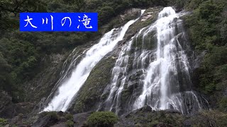 絶景・大川の滝/Oko falls（4分21秒）・落差88㍍ 分岐瀑・４K撮影