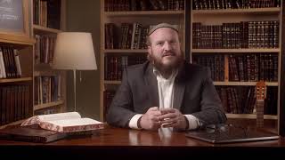 Chassidic Tales with Rav Shlomo Katz: The Bobover pulling us out of pettiness  (27)