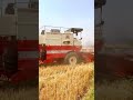 @manjeetdhimaan swarajlove dhillonfarmvlogs