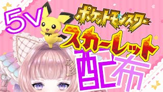 【ポケモンSV】5Vピチュー配布！交換会【個人勢VTuber】