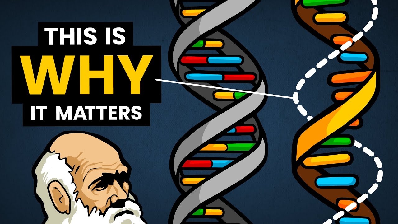Dna Vs Rna Explained Your Simple Guide To Life S Blueprints