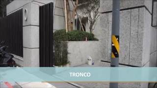 [TRONCO] Automatic Sliding Gate (橫移電動大門)