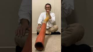 #Shorts 60 sec Didgeridoo performance | MUGA MUSIC CHANNEL