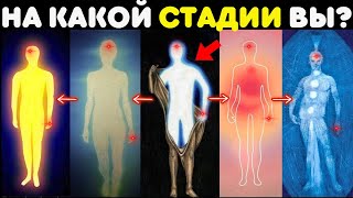 5 стадий духовного пробуждения | На какой стадии вы находитесь?