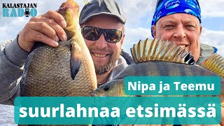 Nipa ja Teemu suurlahnaa etsimässä ⎮ Kalastajan Radio