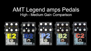 AMT Legend amps E2, D2, P2, B2 \u0026 C2 Comparison (High-Medium Gain)