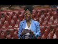 baroness thornton u0026 baroness benjamin house of lords media bill amendment proposals 8th may 2024