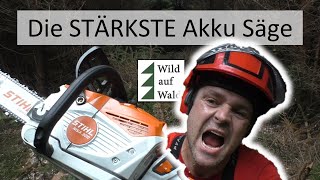 🌲Mit Akku Motorsäge Bäume fällen - ist das möglich? #wildaufwald