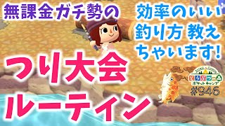 【ポケ森】無課金ガチ勢の「つり大会ルーティン」紹介します【どうぶつの森ポケットキャンプ】