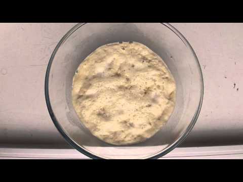 Yeast growing - time lapse HD Yeast growing - time lapse HD