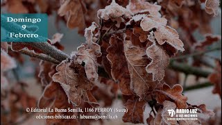 La Buena Semilla - 9 de febrero (La humanidad de Jesús 4)