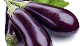 വഴുതനങ്ങാ  പച്ചക്കറികളുടെ രാജാവ് |Brinjal | egg Plant