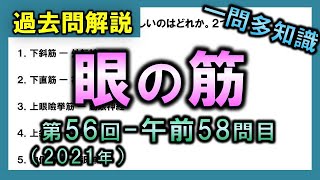 ※訂正アリ。概要欄参照【過去問解説：第56回-午前58問目】眼の筋【理学療法士・作業療法士・言語聴覚士・看護・柔整・鍼灸】