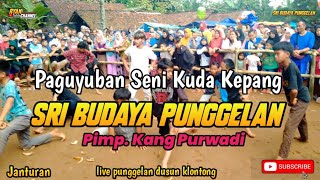 Janturan ebeg Sri Budaya punggelan Live Klontong , Karangsari Punggelan #ebeg #janturan #ryanchannel