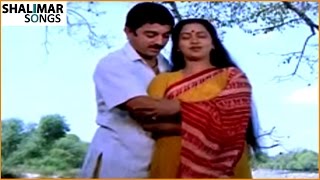 Manasu Palike Video Song || Swati Mutyam || Kamal Haasan, Raadhika Sarathkumar || Shalimar Songs