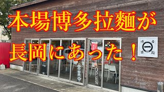 【新潟ラーメン】博多拉麵KAZU