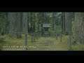 【福井／観光名所】平泉寺白山神社／青苔が広がる苔の宮 heisenji hakusan jinja in fukui japan