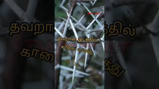 முள்.....(Tamil spirit)..#motivation ..#tamil ..#whatsapp status ..#shorts .