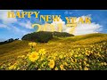 🌻Ethiopian New Year Music Collection |  አዲስ ዓመት ሙዚቃ ስብስቦች 🌻