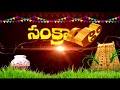 happy sankranthi సంక్రాంతి శుభాకాంక్షలు sankranthi greetings 2023 tvnxt devotional