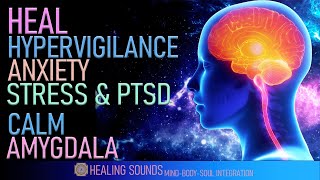 Hypervigilance | Calm The Amygdala | Train Your Brain To Stop Fear | Heal Anxiety Stress & PTSD