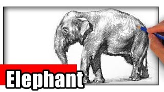 How to Draw an Elephant the Easy Way