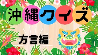 うちな～んちゅなら全問正解でしょ！？　　沖縄クイズ～方言編～【沖縄クイズ】