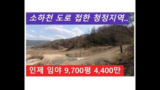 인제 임야 9,700평 4,400만 (소하천 도로 접한 청정지역..)