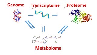 Genome Transcriptome Proteome Metabolome within 2 minutes | Genomics Transcriptomics Proteomics |