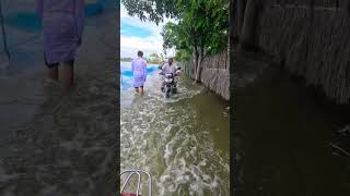 যে দিকে তাকাই পানি আর পানি🥹🥹 #nature #shorts #shortvideo #village