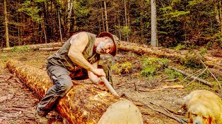 These logs are heavy, but they do have character