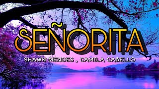 Shawn Mendes, Camila Cabello - Señorita(Lyrics)