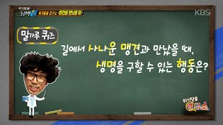 [HIT] 맹견을 만났을 때 생명을 구할 수 있는 ‘자세’는?.20150209