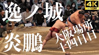 【炎鵬 - 逸ノ城】十両優勝争いを占う。春場所十四日目。十両の熱き闘いの記録【大相撲 sumo】