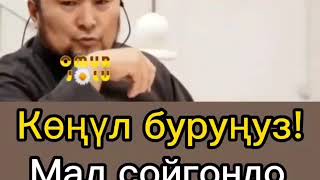 МАЛ СОЙГОНДО КӨНҮЛ БУРУНУЗ.