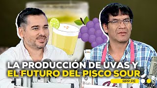 Día Nacional del Pisco Sour: ¿cómo va la producción de uva?  #ADNRPP | ENTREVISTA