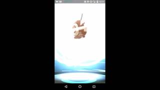 ポケモンGO オタチを進化してみた