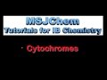 B.9 Cytochromes (HL)