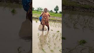 agriculture లైఫ్ 🌾🥰🌾#పల్లెటూరి పాటలు👌💯🥰#plz_subscribe_my_channel