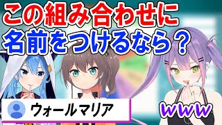 リスナーさんの回答がツボってしまい笑いが止まらなくなるトワ様ｗ【ホロライブ切り抜き/常闇トワ】