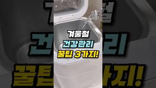 으슬으슬 감기 걸리기 딱 좋아요 #감기 #감기조심 #감기조심하세요 #건강상식 #건강관리