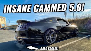 ROWDY Ghost Cam On My Mustang GT 5.0! Wild Lund Racing Tune!