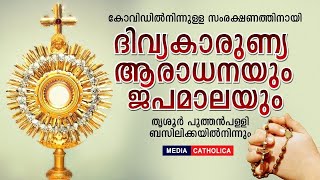 കോവിഡിൽനിന്നുള്ള സംരക്ഷണത്തിനായി ദിവ്യകാരുണ്യ ആരാധന II തൃശൂർ പുത്തൻപള്ളി