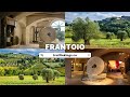 Frantoio | Truffle Kings