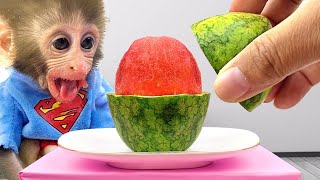 Monkey Farmer Bim Bim takes Obi harvest fruits