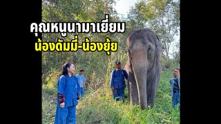 คุณหนูนา มาเยี่ยมน้องดัมมี่(แสนรู้) และน้องยุ้ย ที่ศูนย์ช้างค่ะ