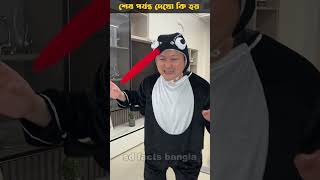 একটা মশা রাজুদের একি করলো / part 2 / bengali funny comedy shorts videos #shorts #viral #banglacomedy